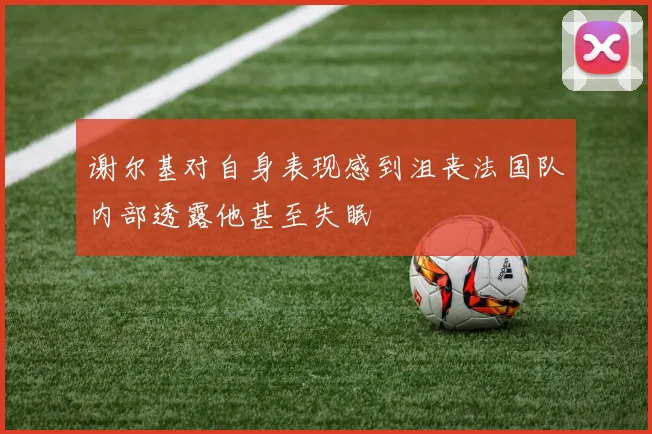 谢尔基对自身表现感到沮丧法国队内部透露他甚至失眠